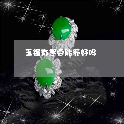 玉镯有黑点能养好吗/2023041317148 玉镯有黑点能养好吗/2023041317148