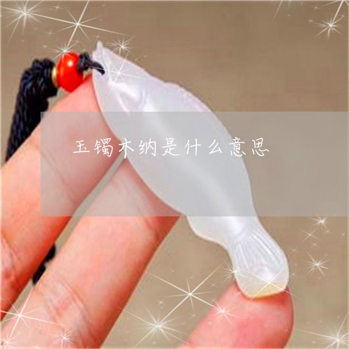 玉镯木纳是什么意思/2023041374838 玉镯木纳是什么意思/2023041374838