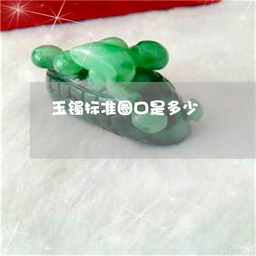 玉镯标准圈口是多少/2023041316936
