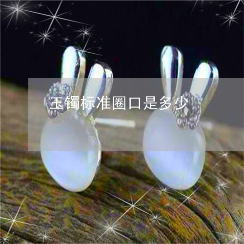 玉镯标准圈口是多少/2023041329161