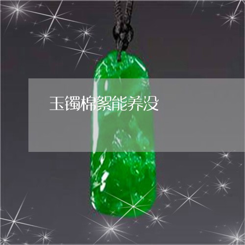 玉镯棉絮能养没/2023032940269