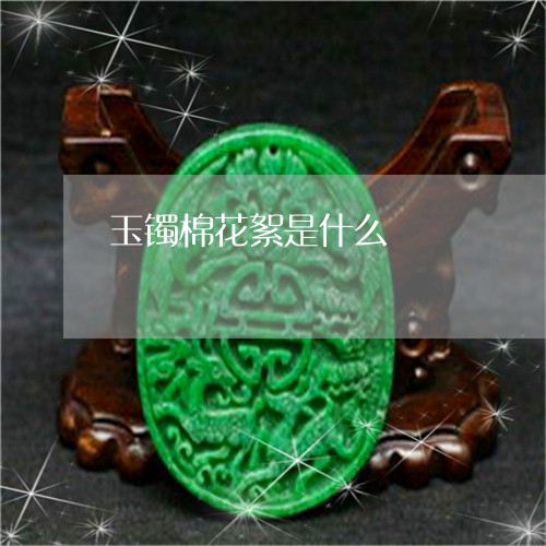 玉镯棉花絮是什么/2023031783816 玉镯棉花絮是什么/2023031783816