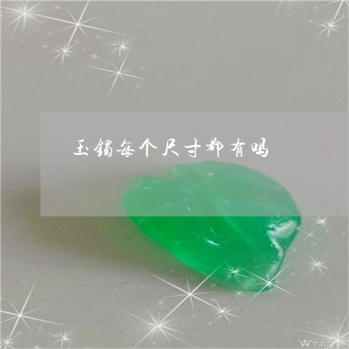 玉镯每个尺寸都有吗/2023041310381