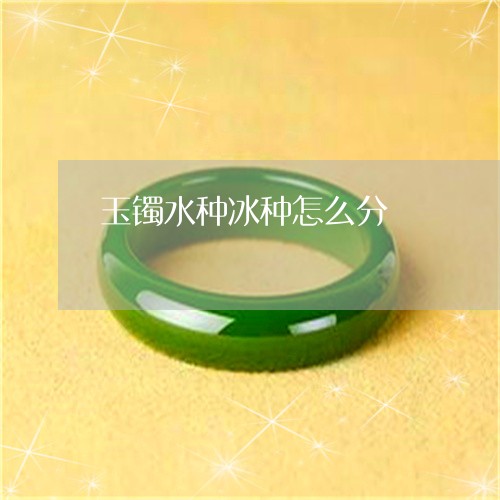 玉镯水种冰种怎么分/2023041351492