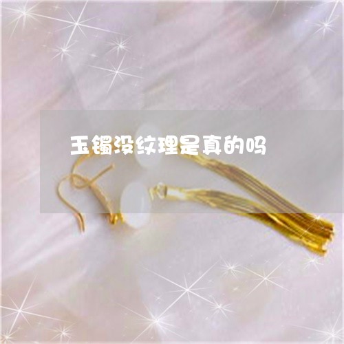 玉镯没纹理是真的吗/2023041353830