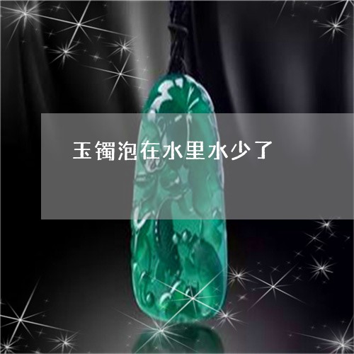 玉镯泡在水里水少了/2023041338159