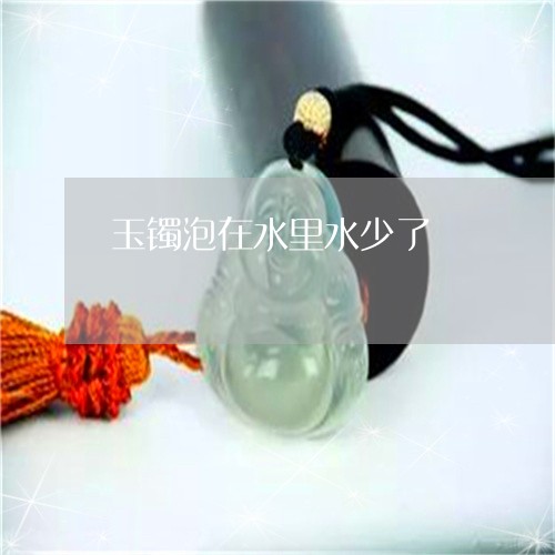 玉镯泡在水里水少了/2023041347284