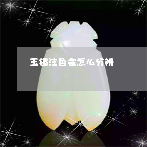 玉镯注色会怎么分辨/2023041306152