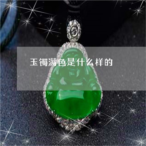 玉镯满色是什么样的/2023041322926