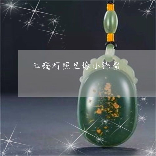 玉镯灯照里像小棉絮/2023041330383 玉镯灯照里像小棉絮/2023041330383