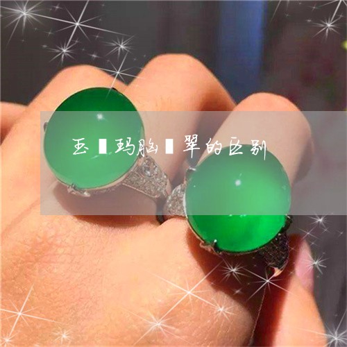 玉镯玛脑翡翠的区别/2023041328040