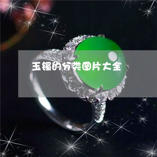 玉镯的分类图片大全/2023041343594
