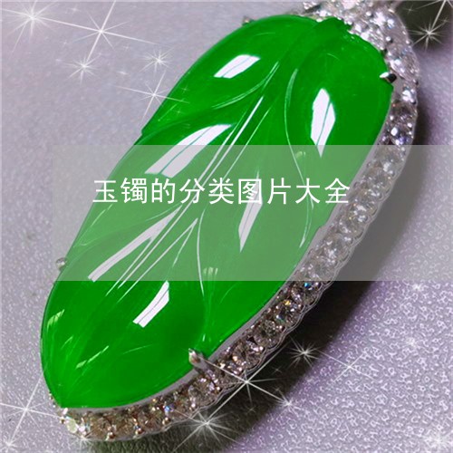 玉镯的分类图片大全/2023041398268