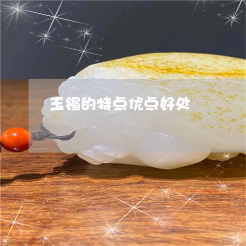 玉镯的特点优点好处/2023041375915 玉镯的特点优点好处/2023041375915