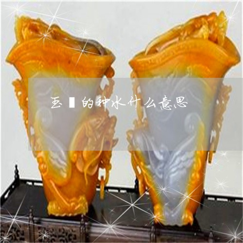 玉镯的种水什么意思/2023041333704