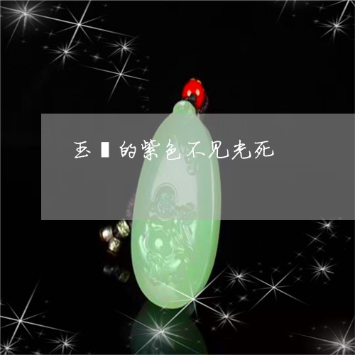 玉镯的紫色不见光死/2023041342694