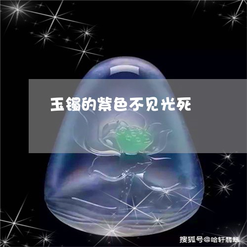 玉镯的紫色不见光死/2023041382505