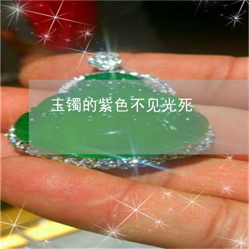玉镯的紫色不见光死/2023041397262