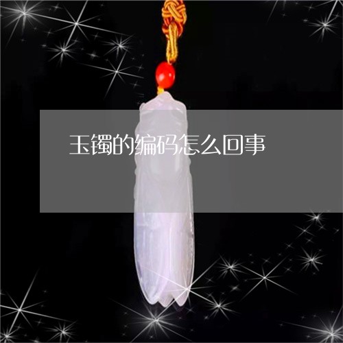 玉镯的编码怎么回事/2023041350362