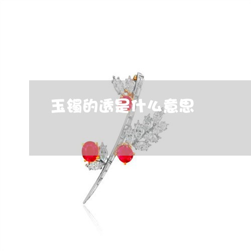 玉镯的透是什么意思/2023041342703 玉镯的透是什么意思/2023041342703