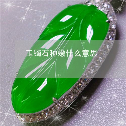 玉镯石种嫩什么意思/2023041350493