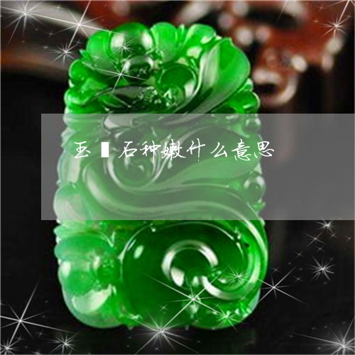 玉镯石种嫩什么意思/2023041356047