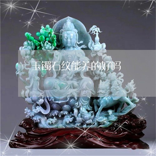 玉镯石纹能养的好吗/2023041374816