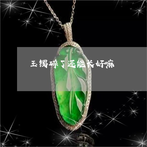 玉镯碎了还能长好嘛/2023041383614