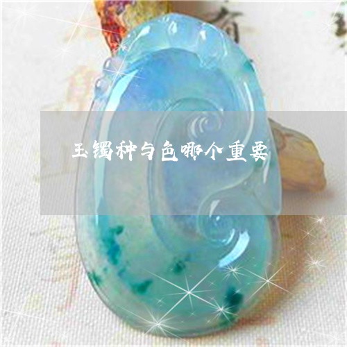 玉镯种与色哪个重要/2023041383815 玉镯种与色哪个重要/2023041383815