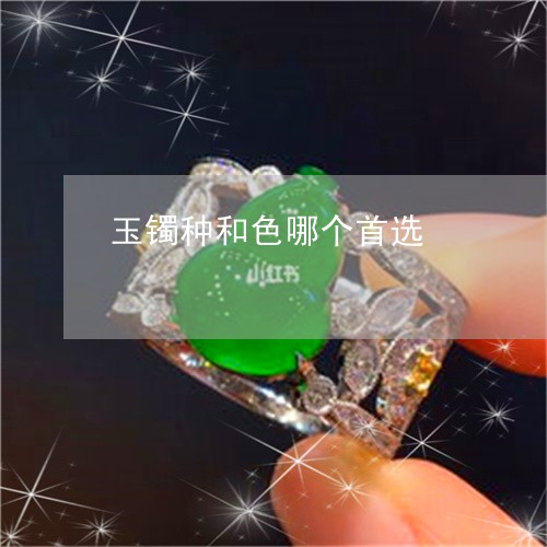 玉镯种和色哪个首选/2023041396957