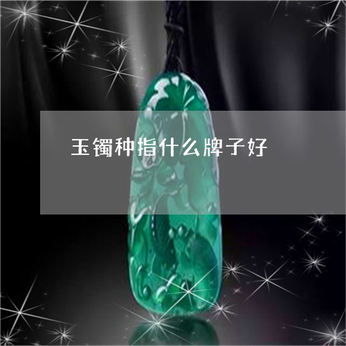 玉镯种指什么牌子好/2023041352947 玉镯种指什么牌子好/2023041352947