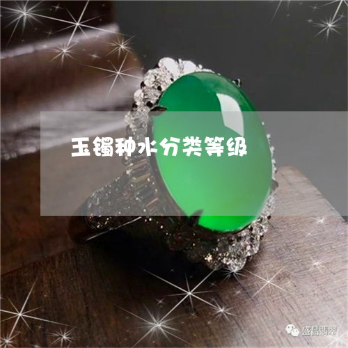玉镯种水分类等级/2023031798694