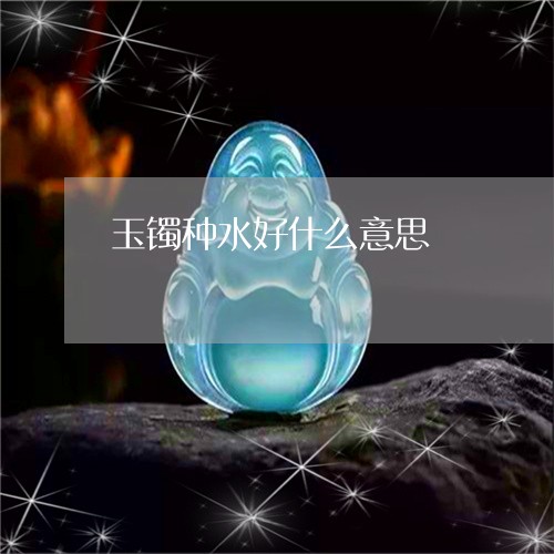 玉镯种水好什么意思/2023041306928