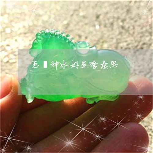玉镯种水好是啥意思/2023041308482 玉镯种水好是啥意思/2023041308482