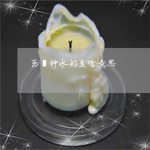 玉镯种水好是啥意思/2023041316836 玉镯种水好是啥意思/2023041316836