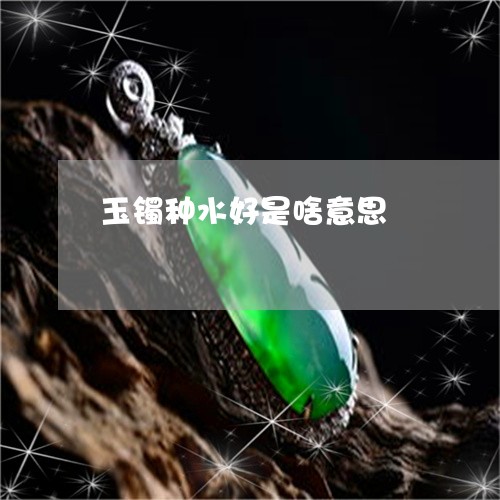 玉镯种水好是啥意思/2023041327137 玉镯种水好是啥意思/2023041327137