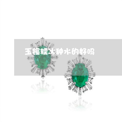 玉镯糯冰种水的好吗/2023041382715