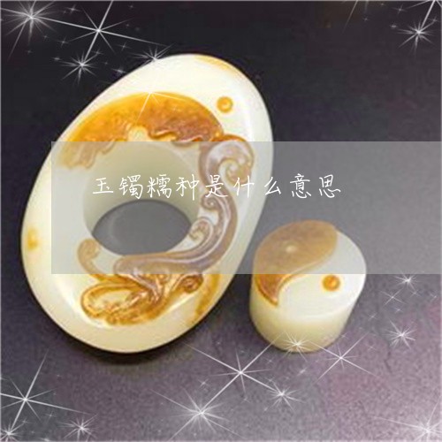 玉镯糯种是什么意思/2023041311492