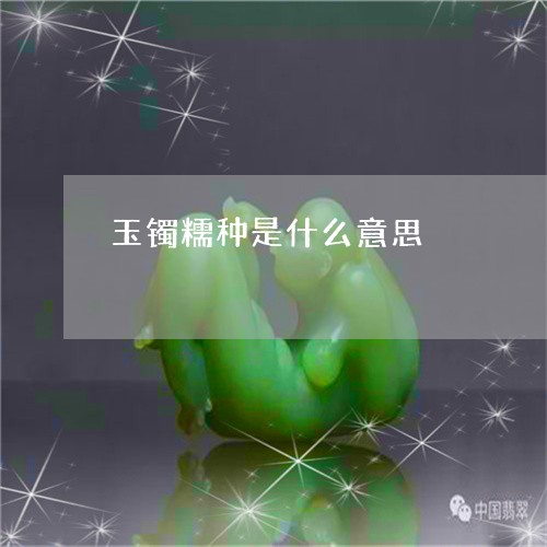 玉镯糯种是什么意思/2023041381818