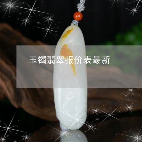 玉镯翡翠报价表最新/2023041334046