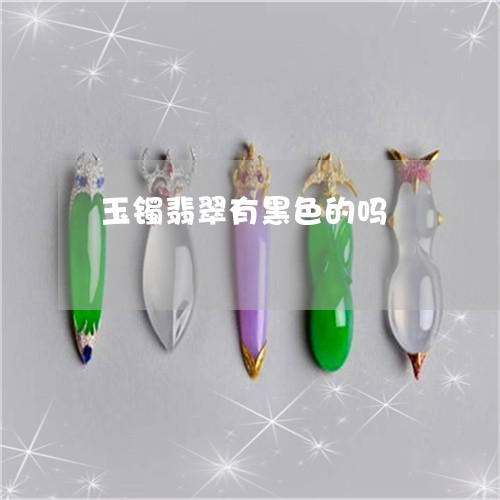 玉镯翡翠有黑色的吗/2023041337048
