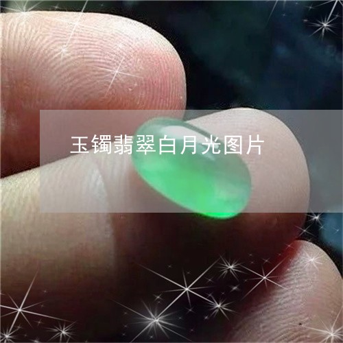 玉镯翡翠白月光图片/2023041328257