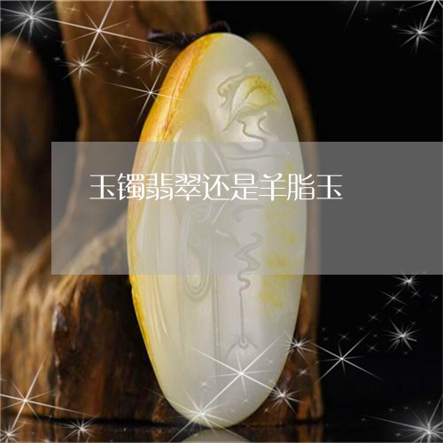 玉镯翡翠还是羊脂玉/2023041367351