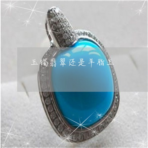 玉镯翡翠还是羊脂玉/2023041394969