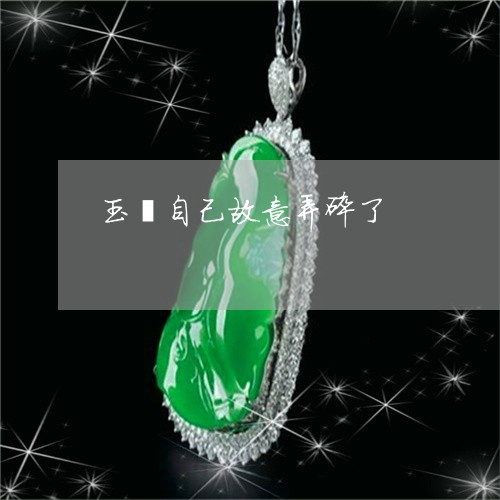 玉镯自己故意弄碎了/2023041383794