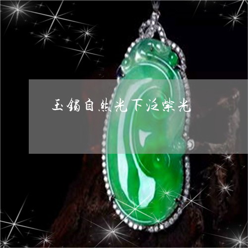 玉镯自然光下泛紫光/2023041370604