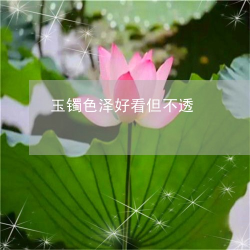 玉镯色泽好看但不透/2023041361592