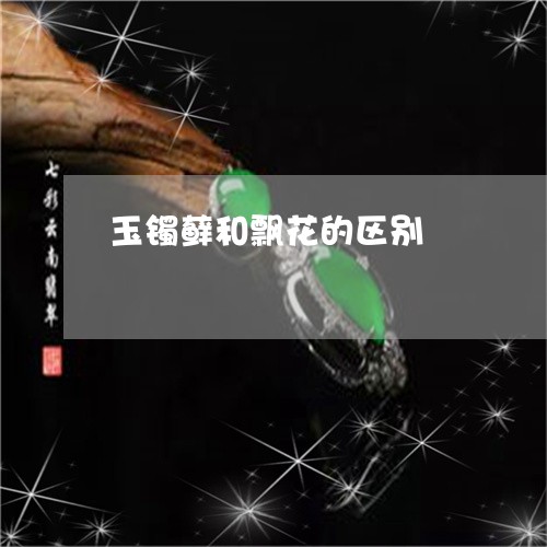 玉镯藓和飘花的区别/2023041382736