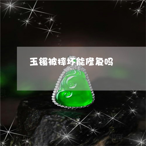 玉镯被摔坏能修复吗/2023041397261