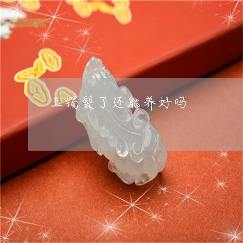 玉镯裂了还能养好吗/2023041348489